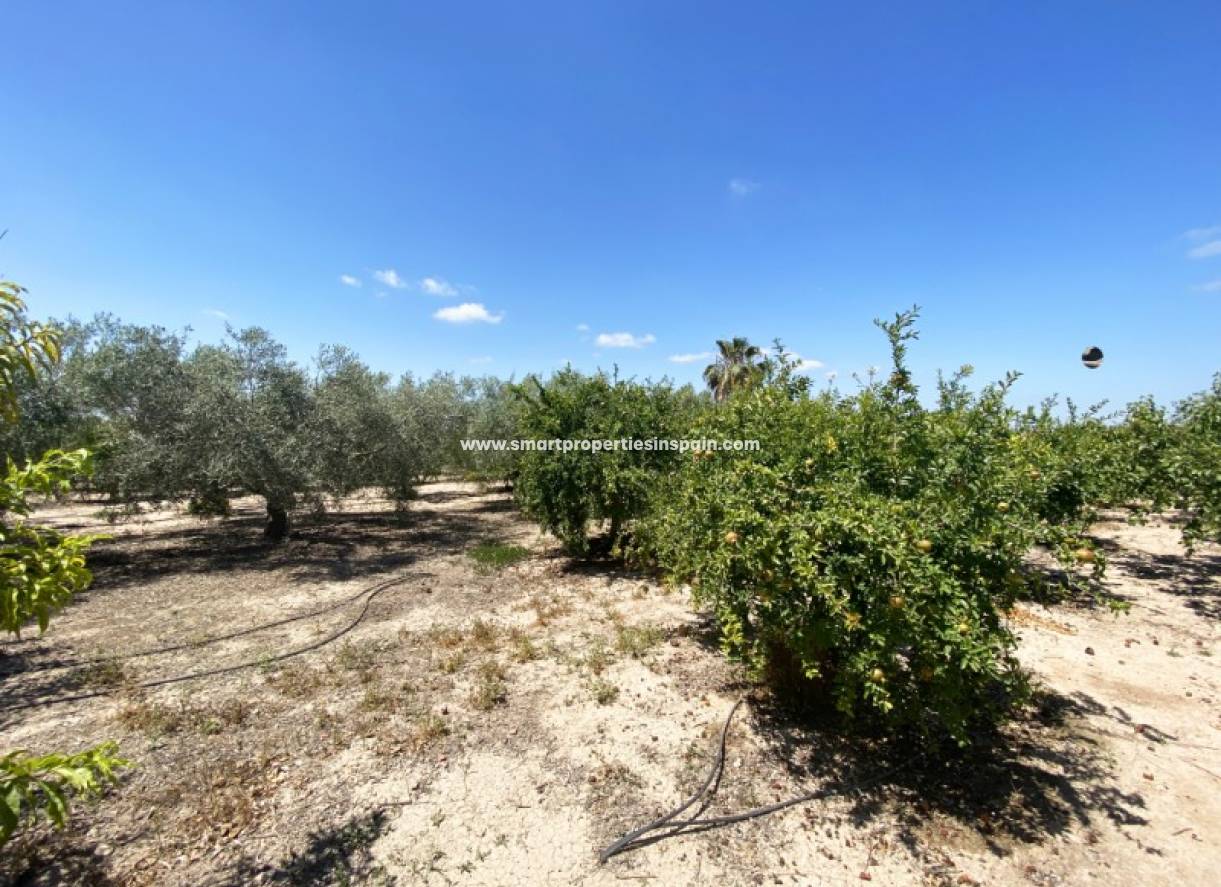 Wederverkoop - Country House - Elche