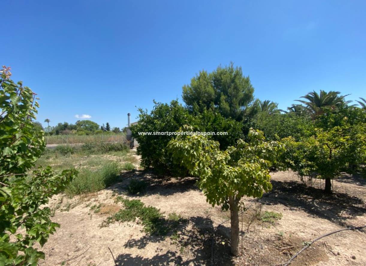 Wederverkoop - Country House - Elche