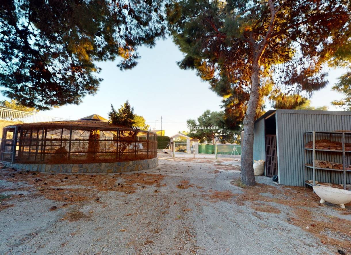 Wederverkoop - Country House - Elche