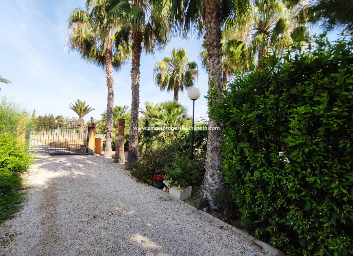 Wederverkoop - Country House - Elche
