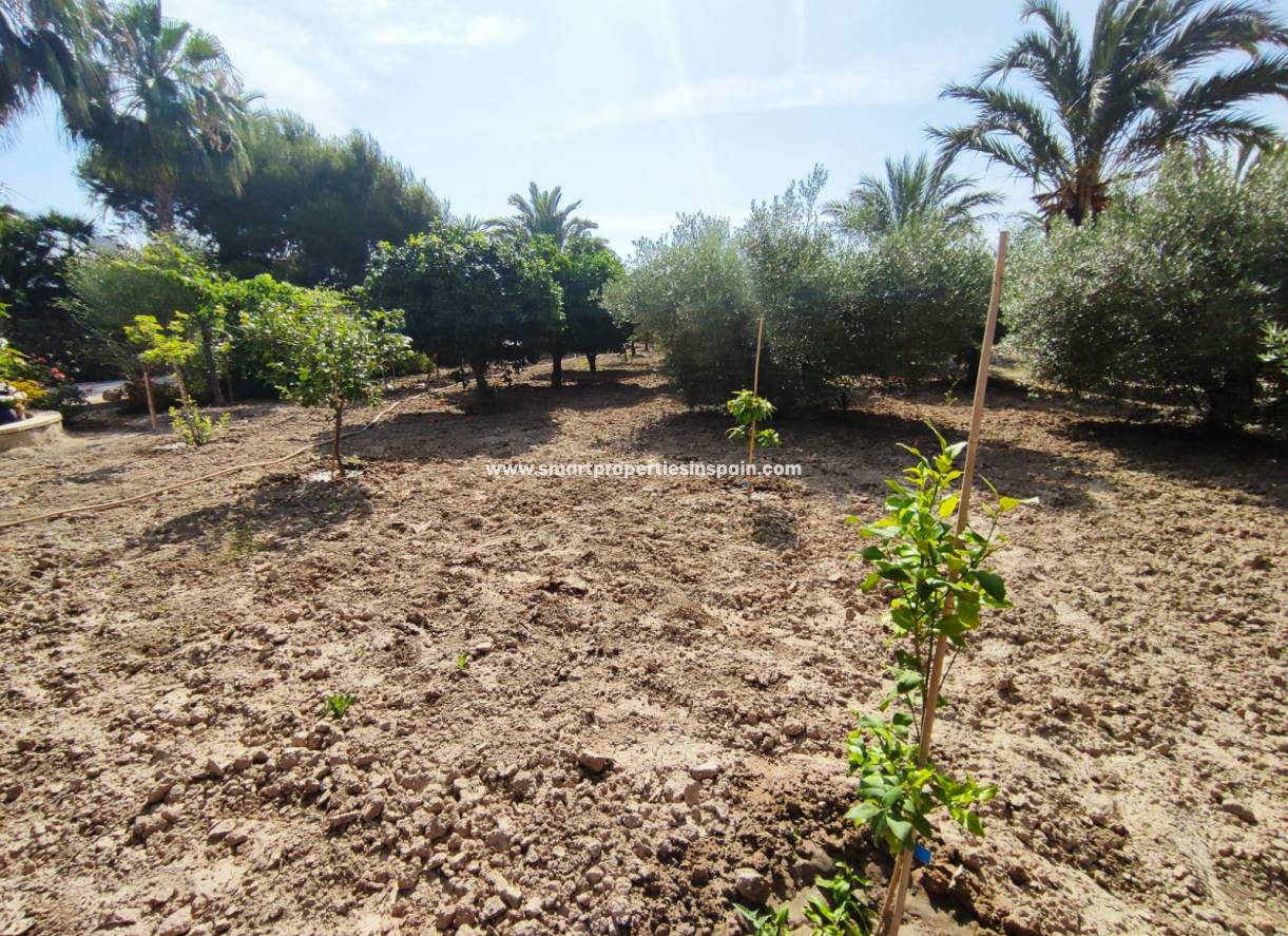 Wederverkoop - Country House - Elche