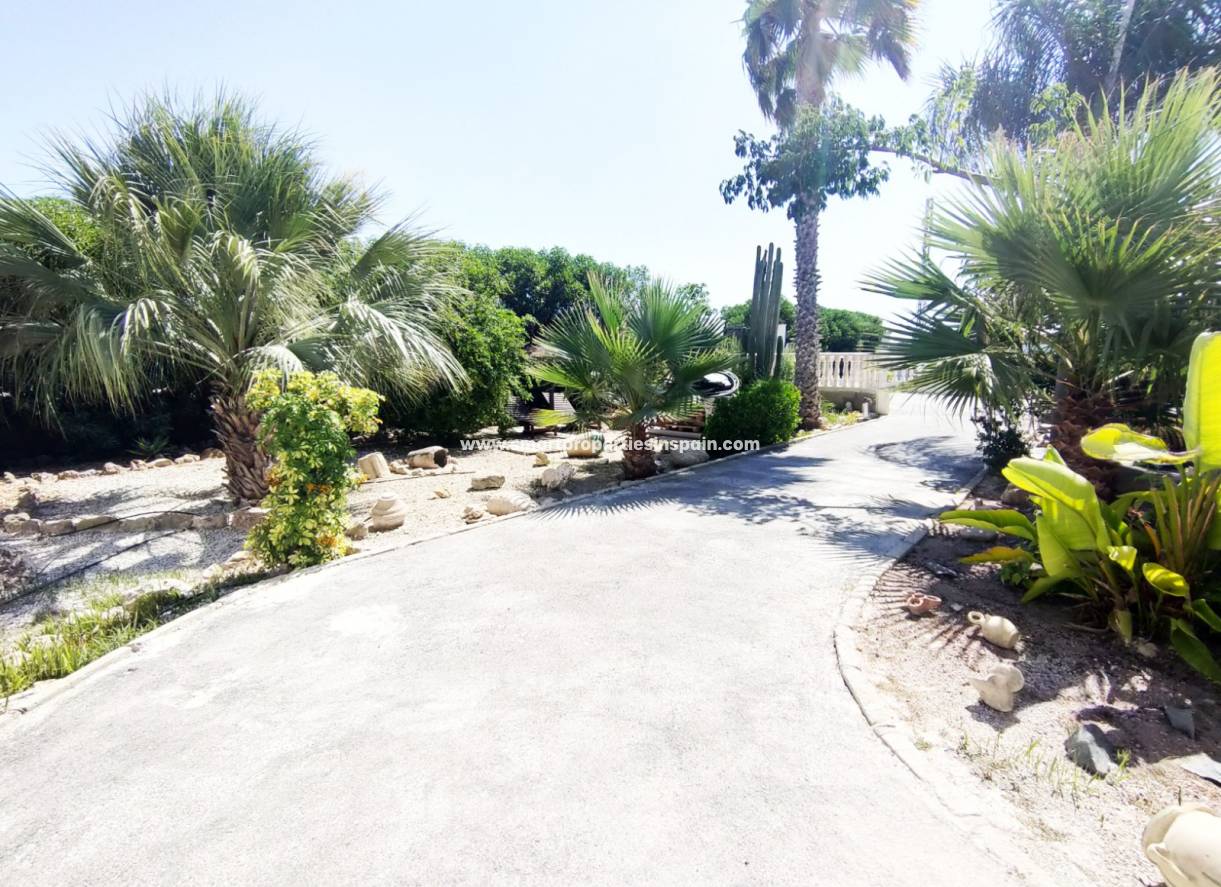 Wederverkoop - Country House - Elche