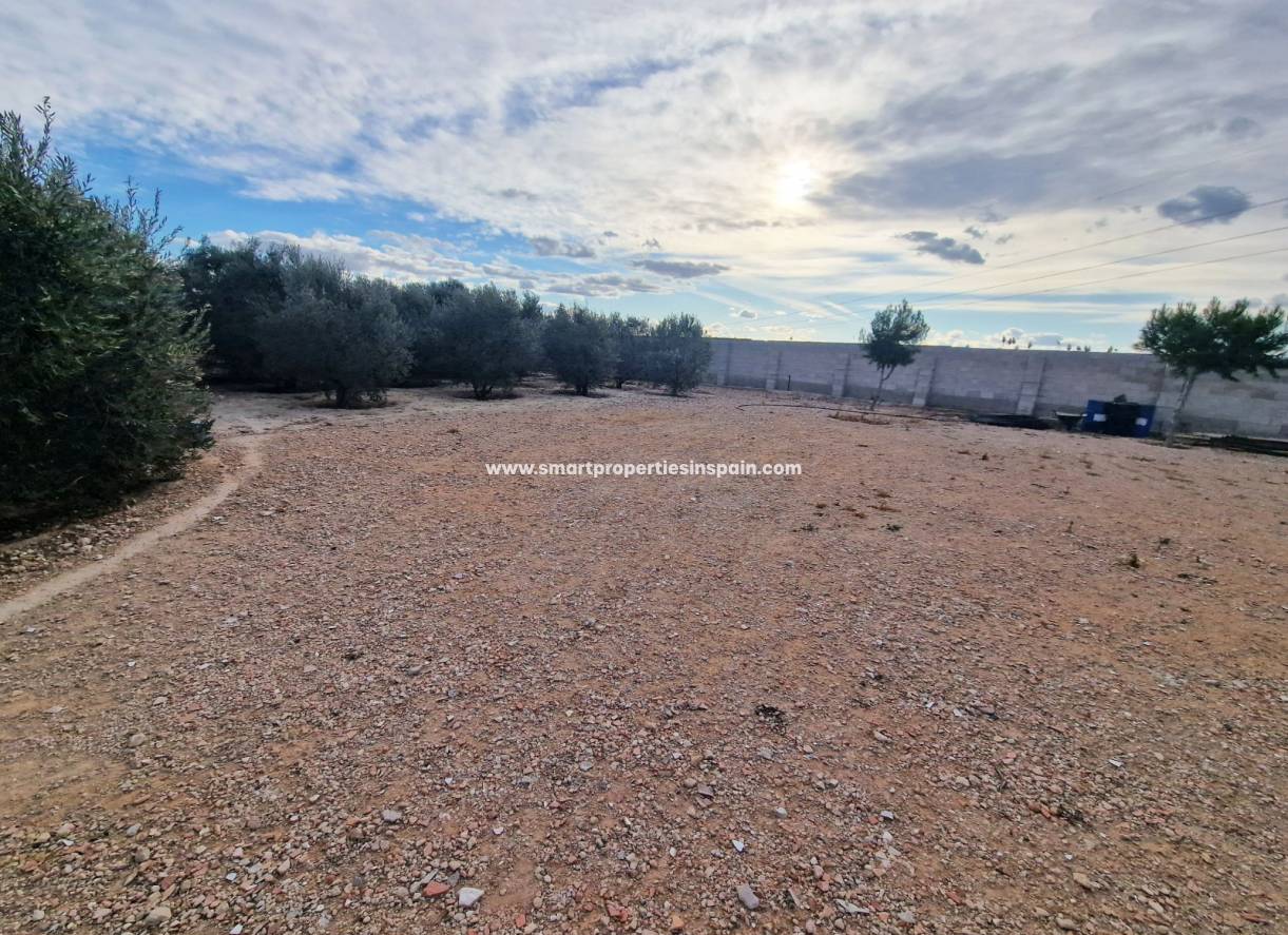 Wederverkoop - Country House - Elche