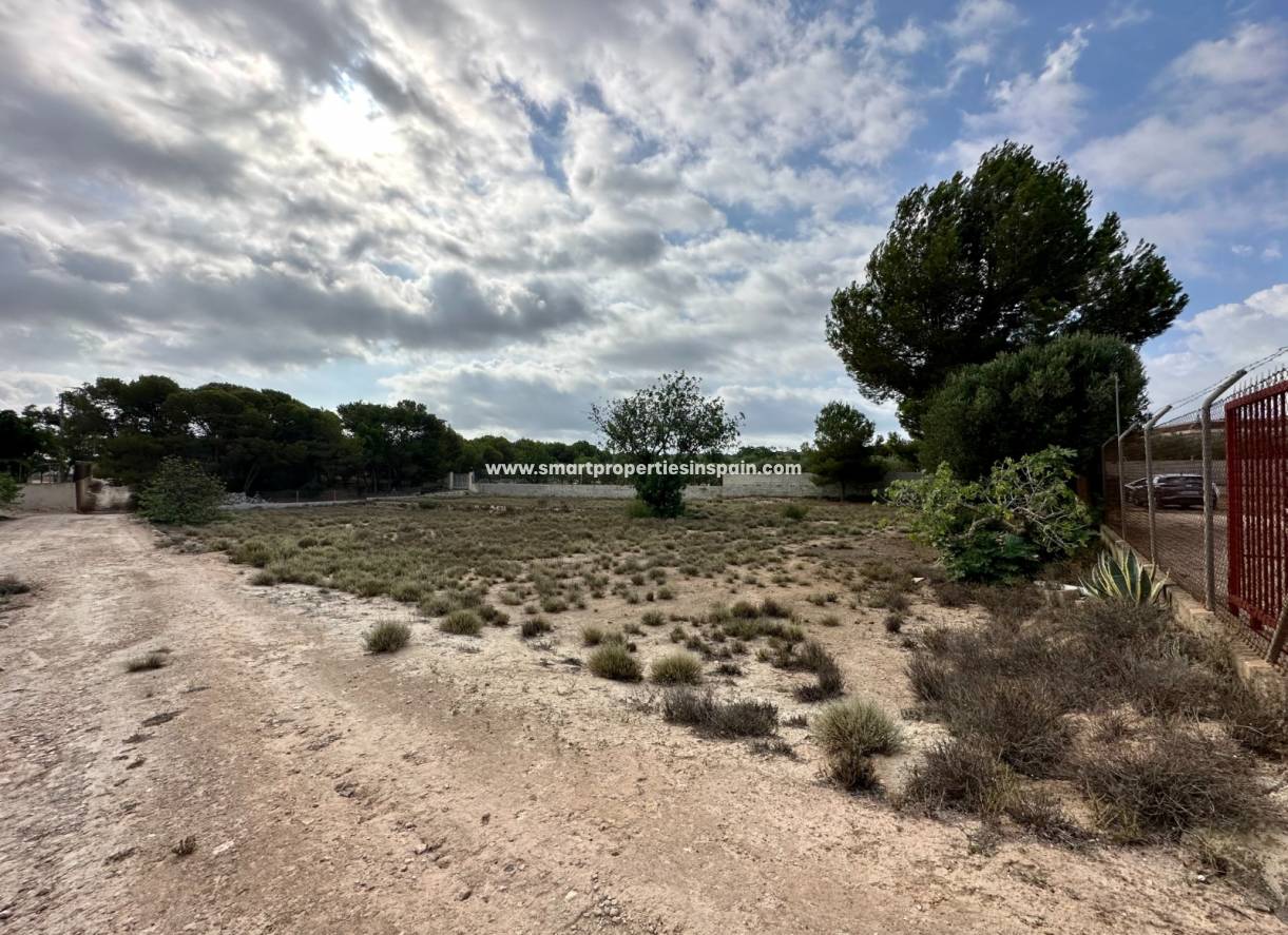 Wederverkoop - Country House - Elche