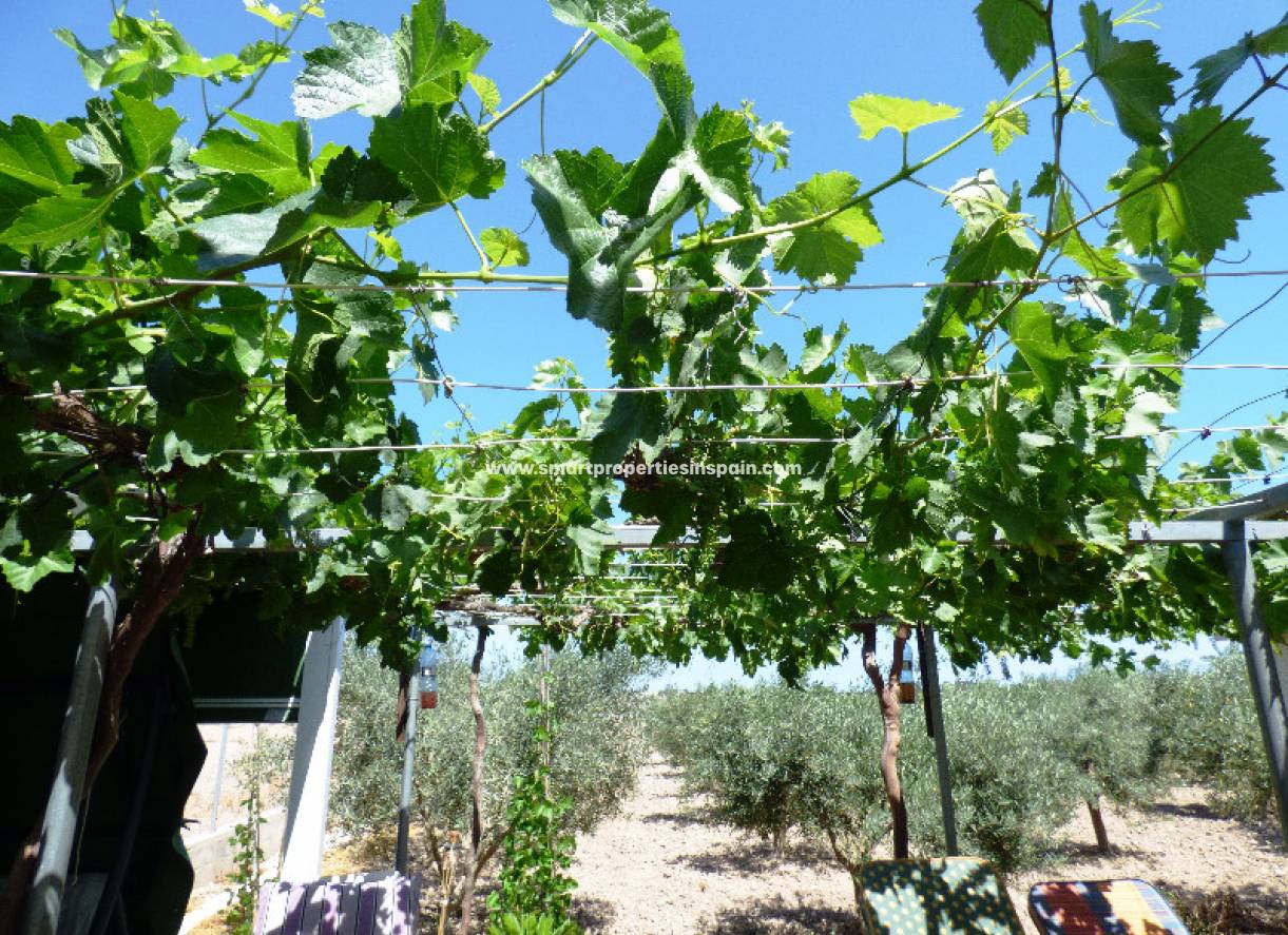 Wederverkoop - Country House - Elche