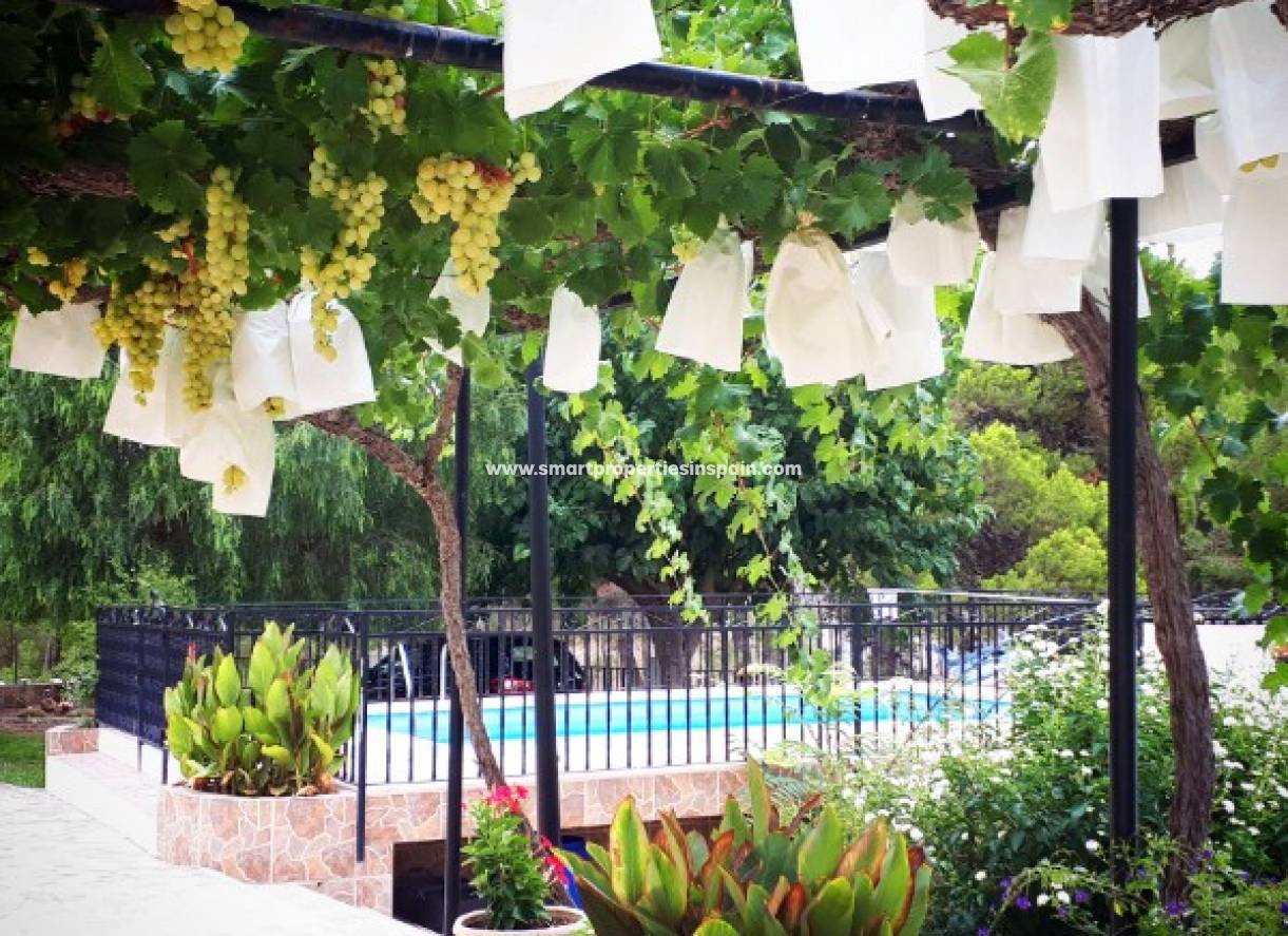 Wederverkoop - Country House - Hondon de Las Nieves - HONDON DE LAS NIEVES