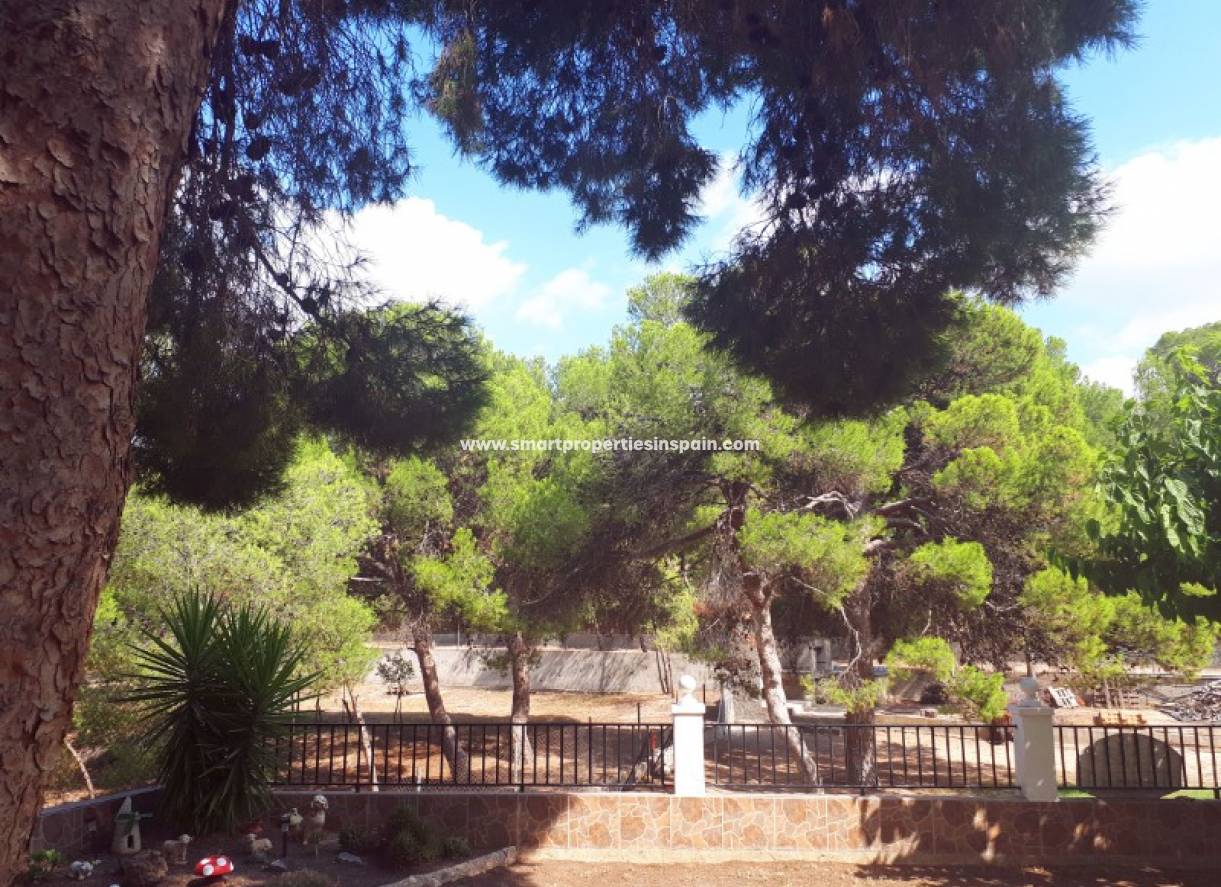 Wederverkoop - Country House - Hondon de Las Nieves - HONDON DE LAS NIEVES