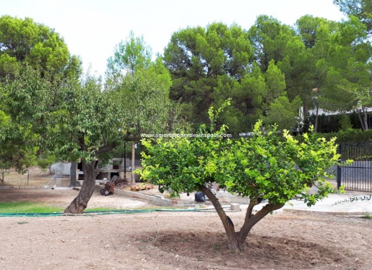 Wederverkoop - Country House - Hondon de Las Nieves - HONDON DE LAS NIEVES