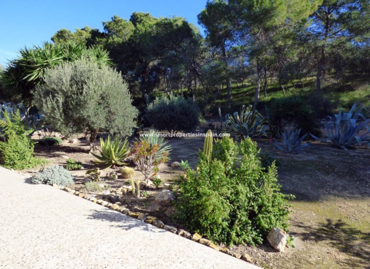 Wederverkoop - Country House - La Marina - La Marina Village