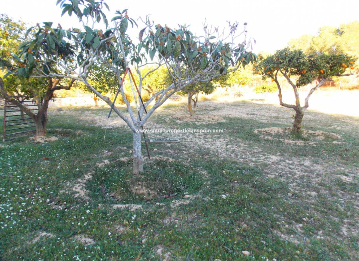 Wederverkoop - Country House - La Marina - Urbanización La Marina