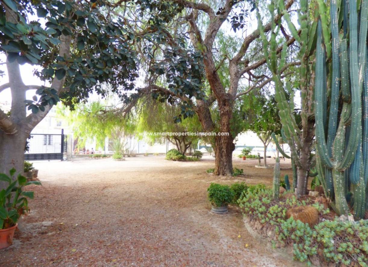 Wederverkoop - Country House - La Marina - Urbanización La Marina