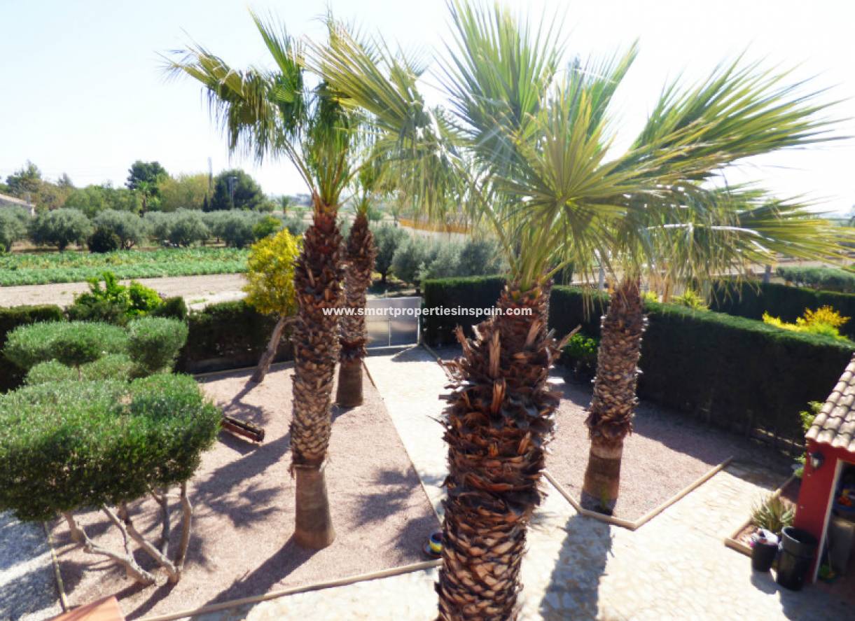 Wederverkoop - Detached Villa - Catral