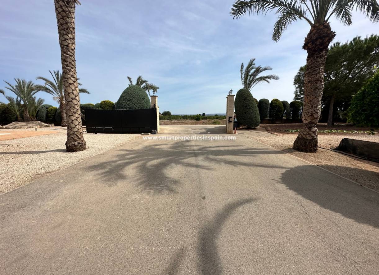 Wederverkoop - Detached Villa - Crevillente
