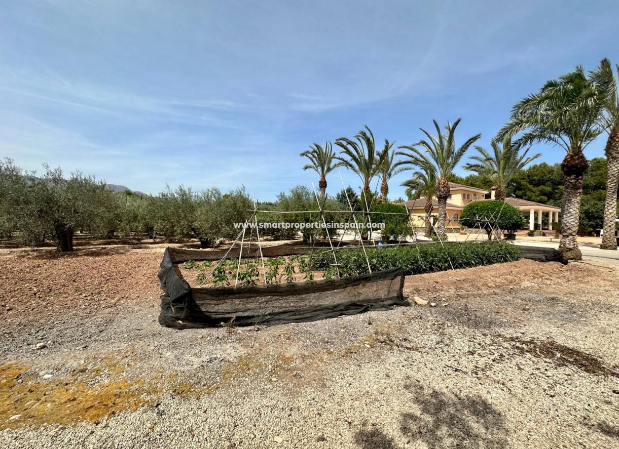 Wederverkoop - Detached Villa - Crevillente