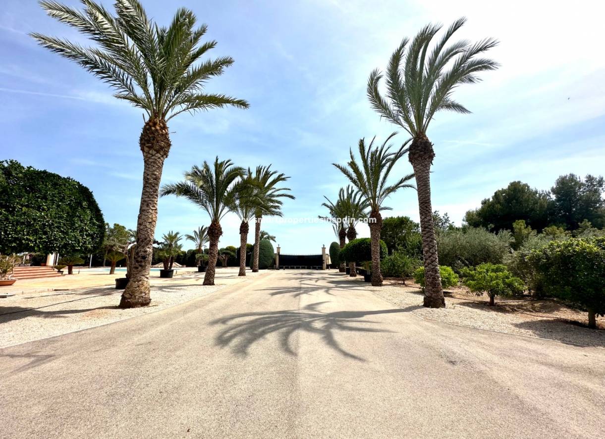 Wederverkoop - Detached Villa - Crevillente