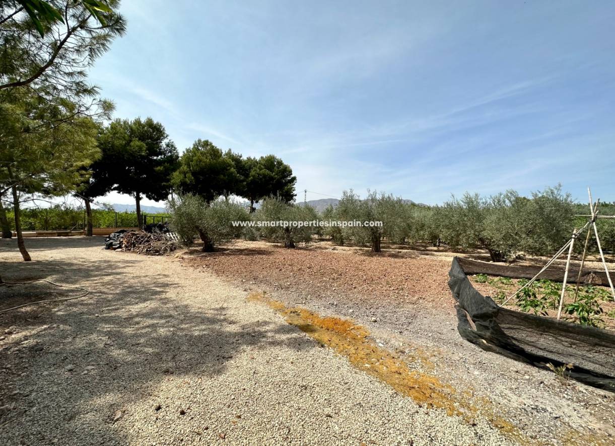Wederverkoop - Detached Villa - Crevillente