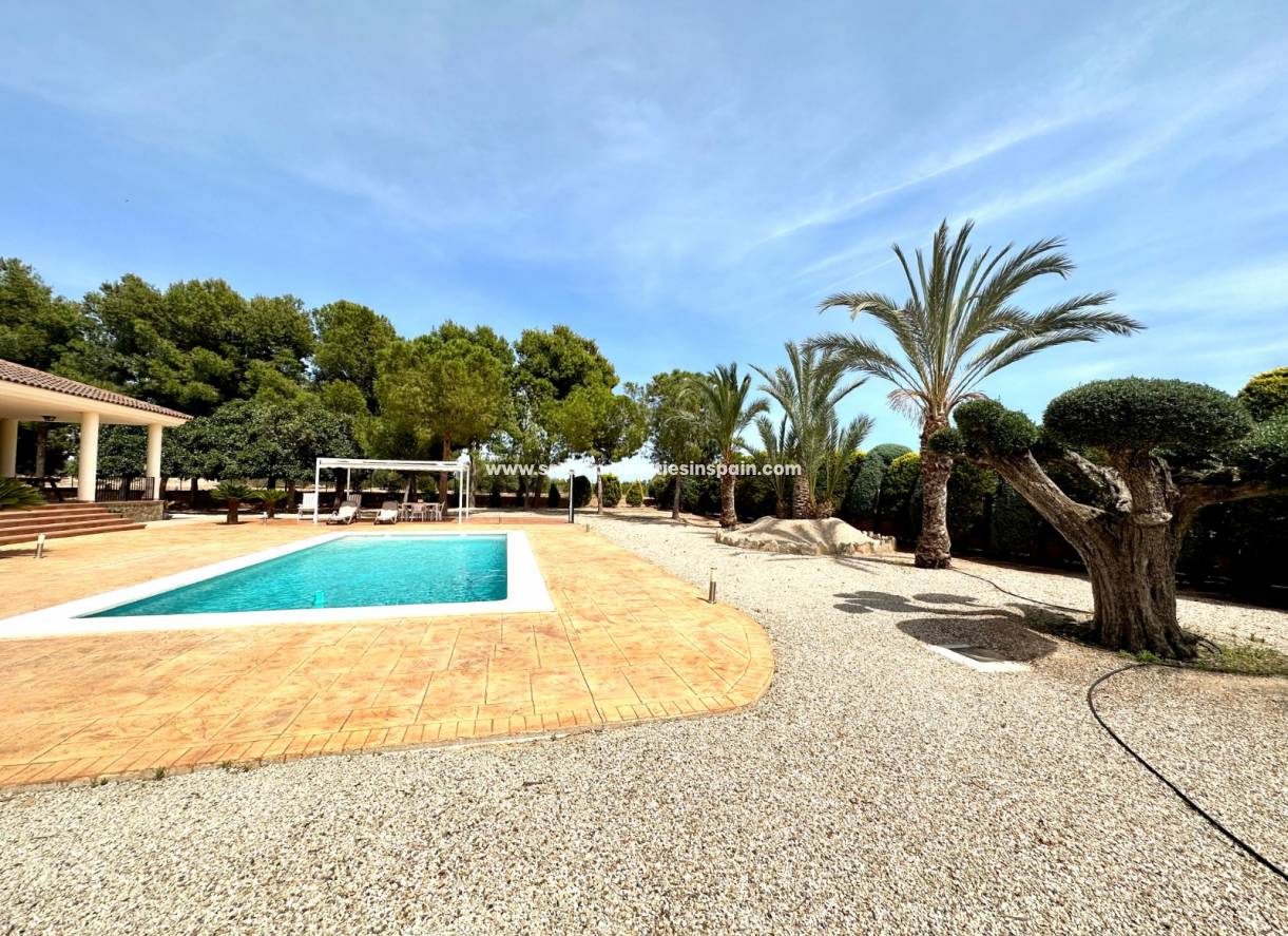 Wederverkoop - Detached Villa - Crevillente