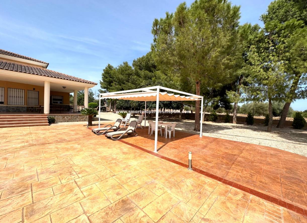 Wederverkoop - Detached Villa - Crevillente