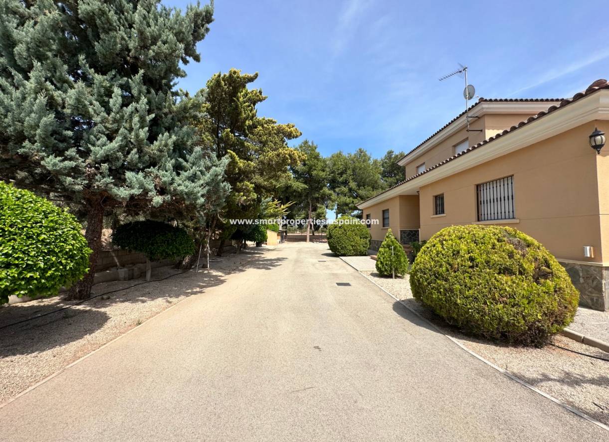 Wederverkoop - Detached Villa - Crevillente