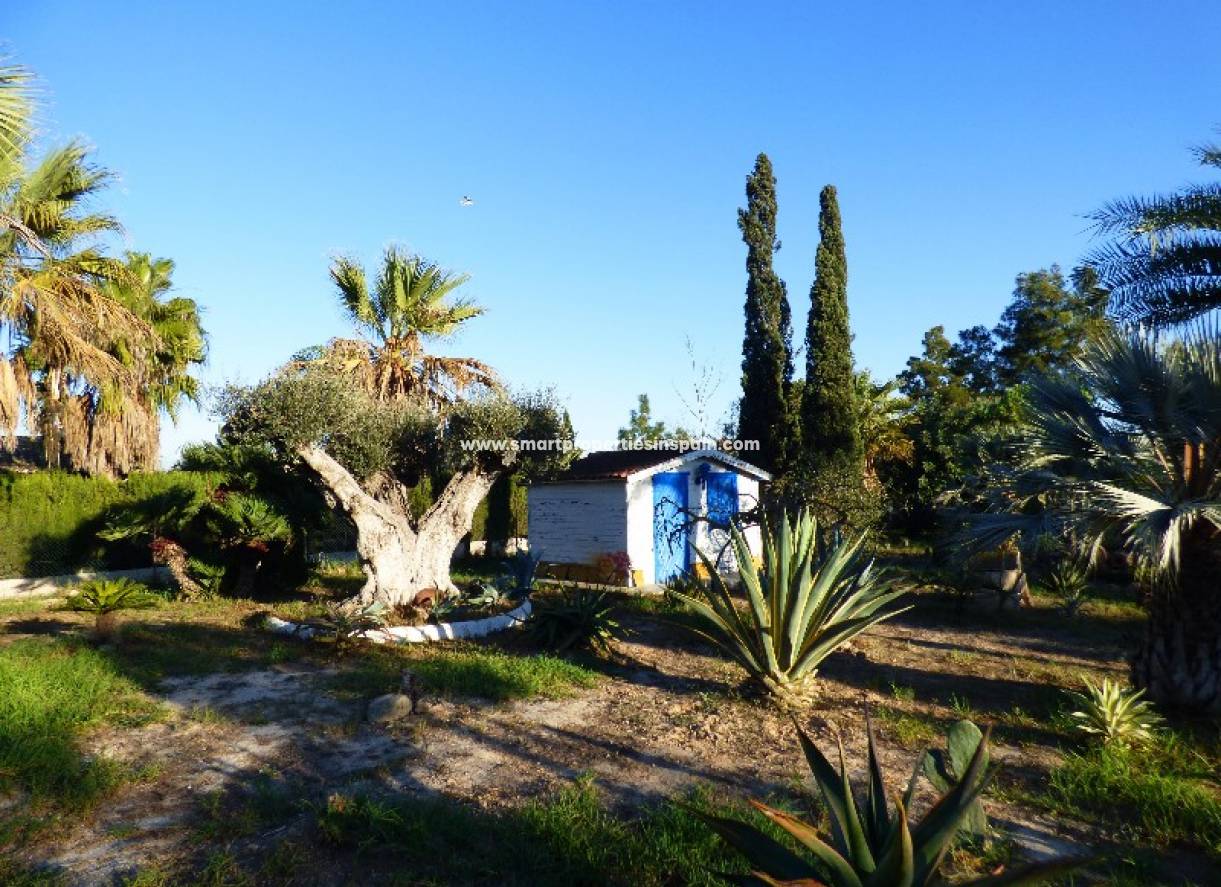 Wederverkoop - Detached Villa - Dolores - dolores