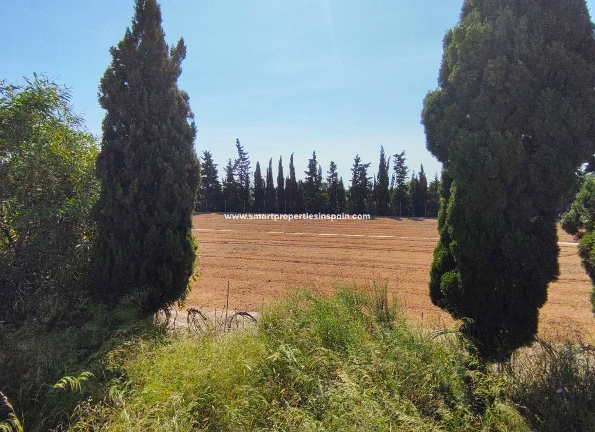 Wederverkoop - Detached Villa - El Pinet