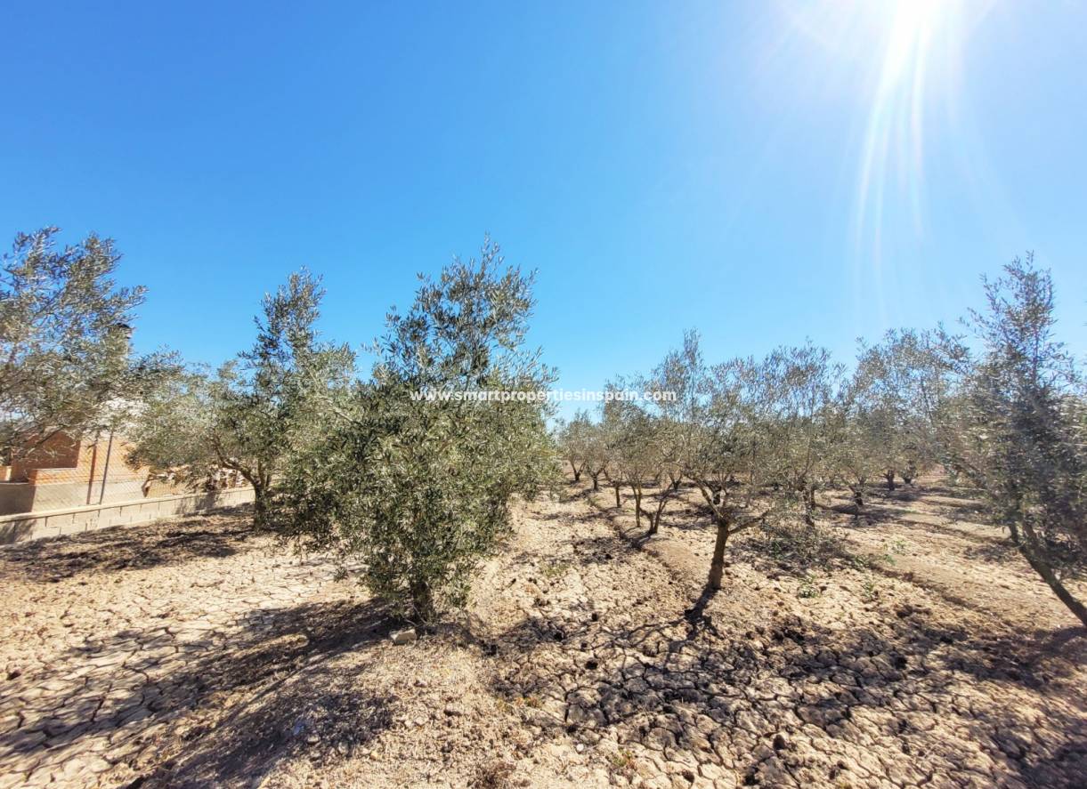 Wederverkoop - Detached Villa - Elche