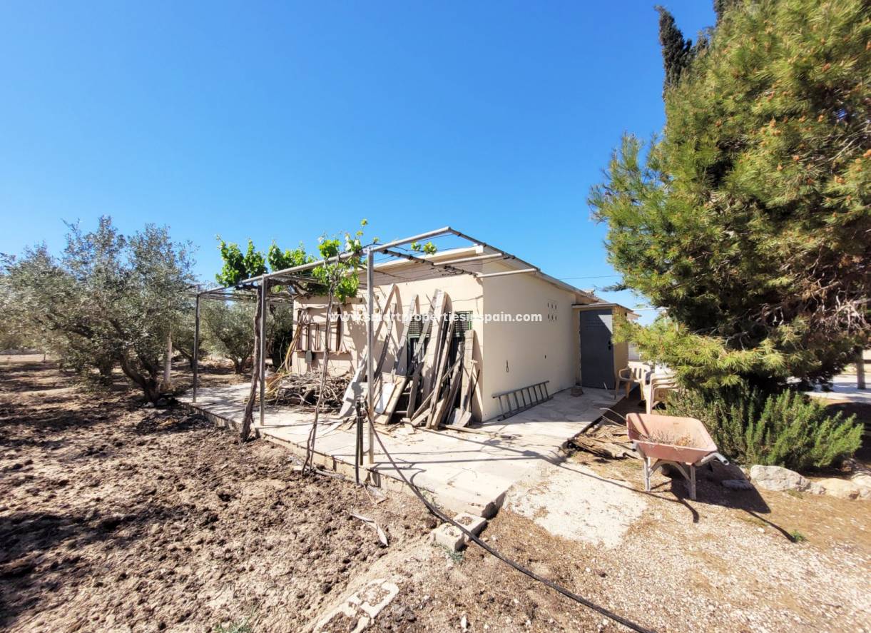 Wederverkoop - Detached Villa - Elche