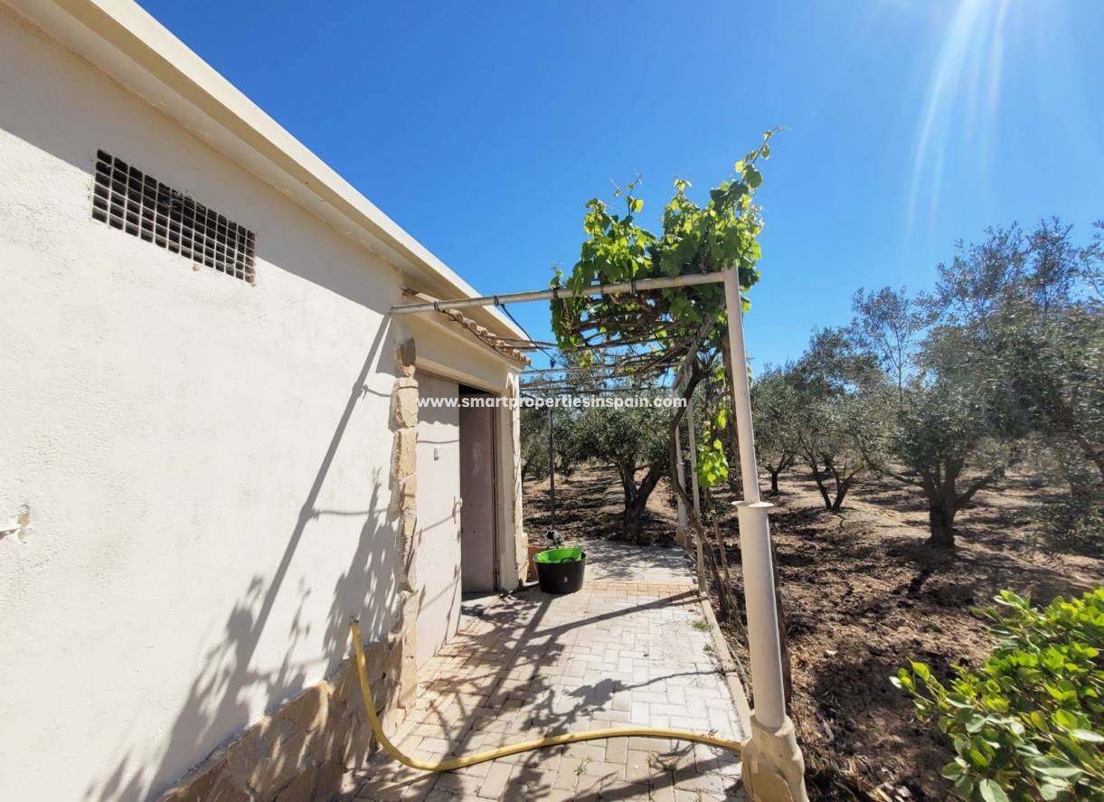 Wederverkoop - Detached Villa - Elche