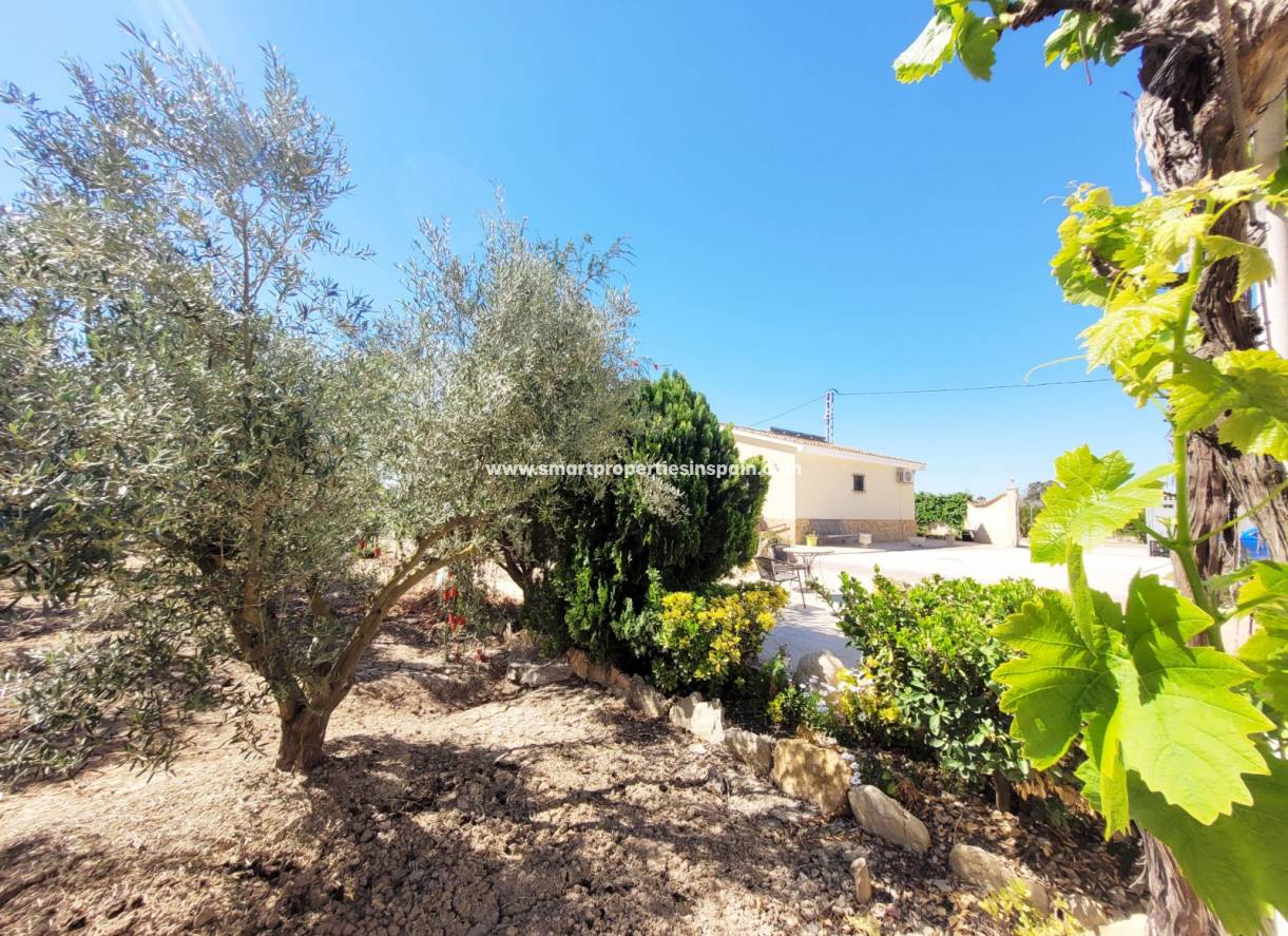 Wederverkoop - Detached Villa - Elche