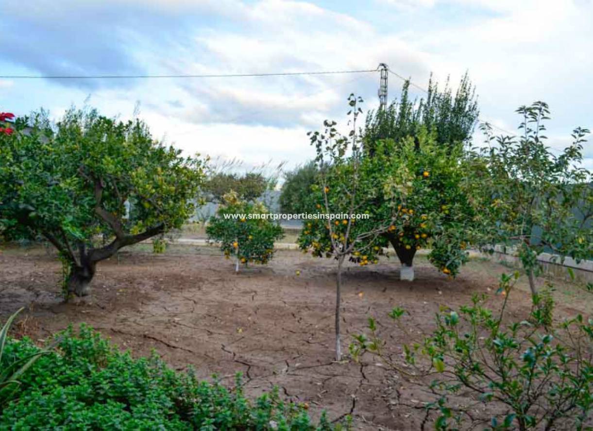Wederverkoop - Detached Villa - Elche