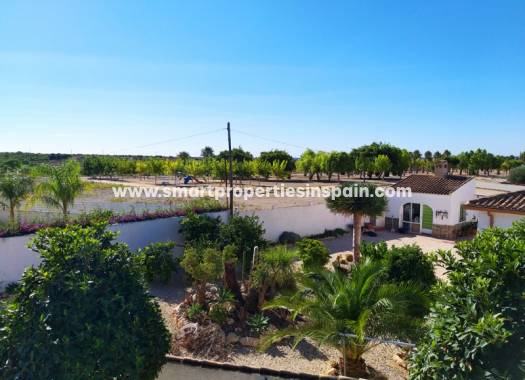 Wederverkoop - Detached Villa - La Marina - Urbanización La Marina