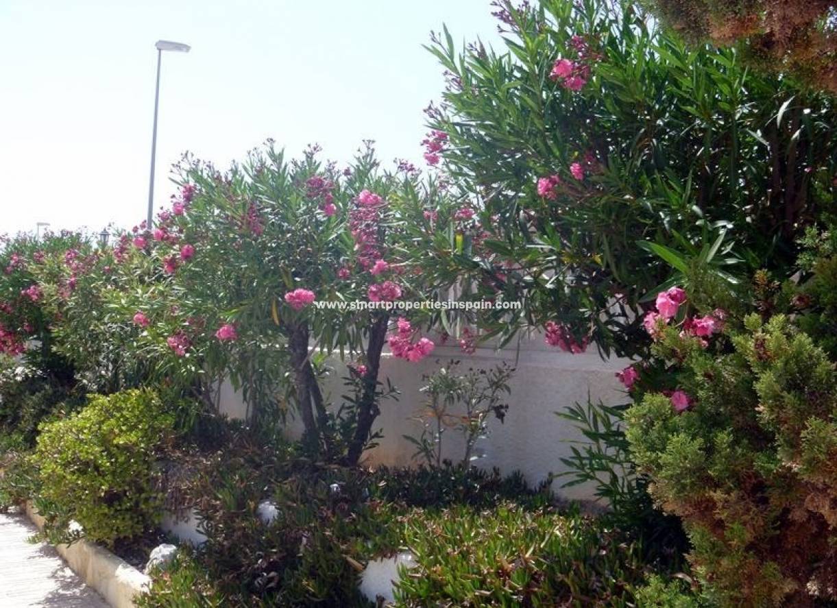 Wederverkoop - Detached Villa - La Marina - Urbanización La Marina