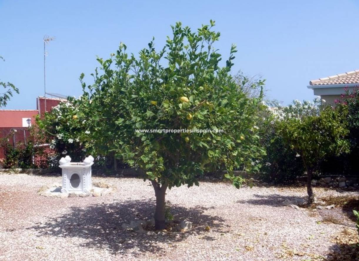 Wederverkoop - Detached Villa - La Marina - Urbanización La Marina