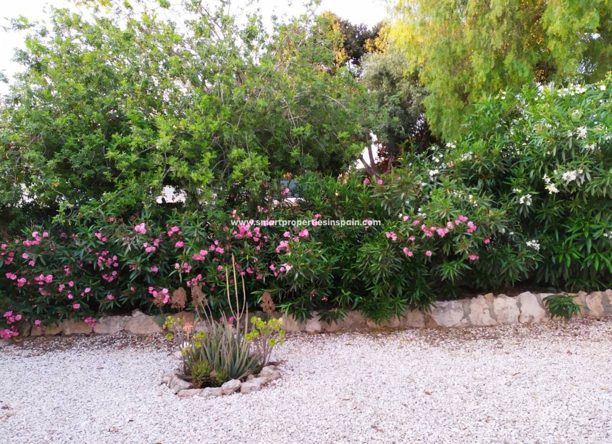 Wederverkoop - Detached Villa - La Marina - Urbanización La Marina