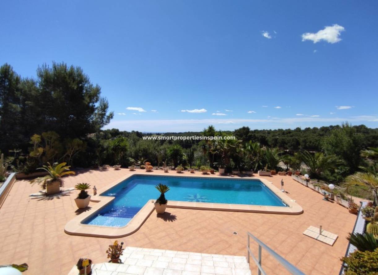 Wederverkoop - Detached Villa - Pilar de la Horadada