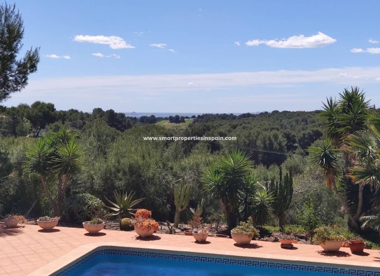 Wederverkoop - Detached Villa - Pilar de la Horadada