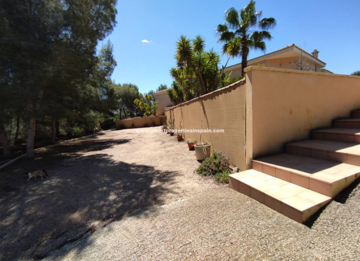 Wederverkoop - Detached Villa - Pilar de la Horadada