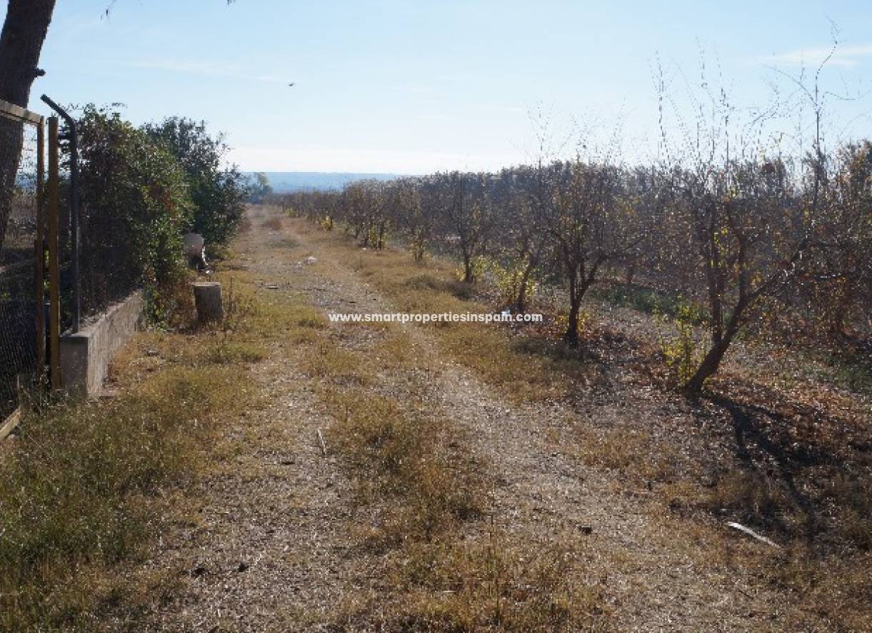 Wederverkoop - Plot - Dolores - dolores