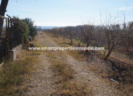 Wederverkoop - Plot - Dolores - dolores