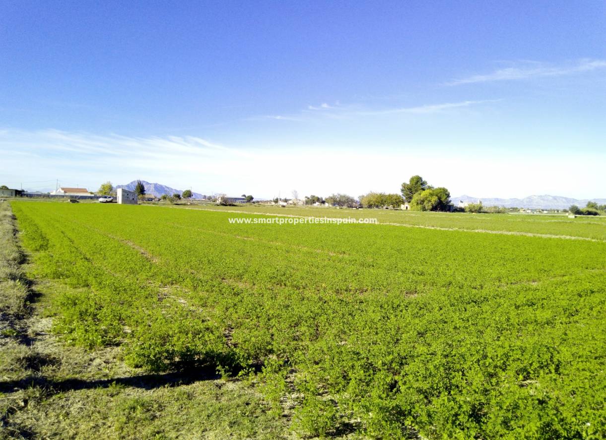 Wederverkoop - Plot - Dolores - dolores