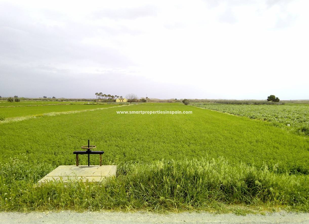 Wederverkoop - Plot - Dolores - dolores