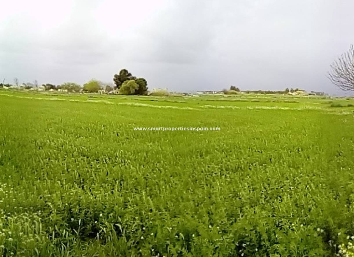 Wederverkoop - Plot - Dolores - dolores
