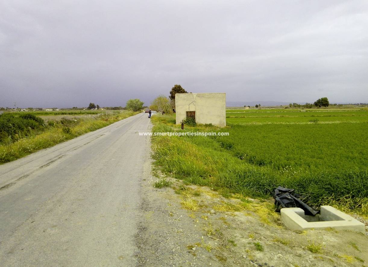 Wederverkoop - Plot - Dolores - dolores
