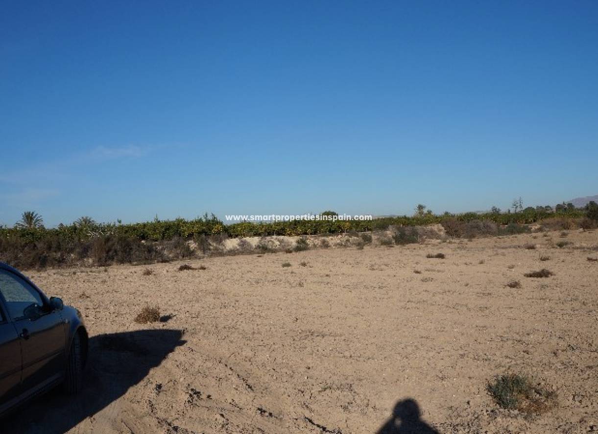 Wederverkoop - Plot - Elche - Valverde