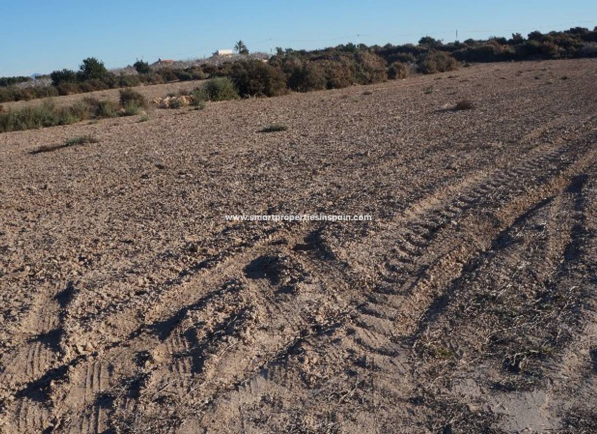 Wederverkoop - Plot - Elche - Valverde