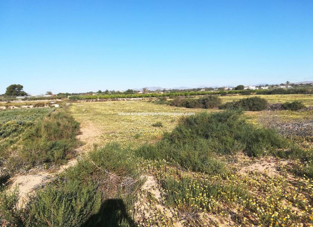 Wederverkoop - Plot - Elche - Valverde