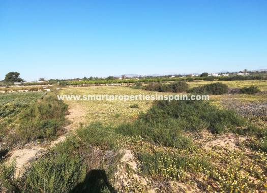 Wederverkoop - Plot - Elche - Valverde