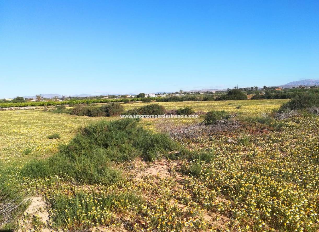 Wederverkoop - Plot - Elche - Valverde