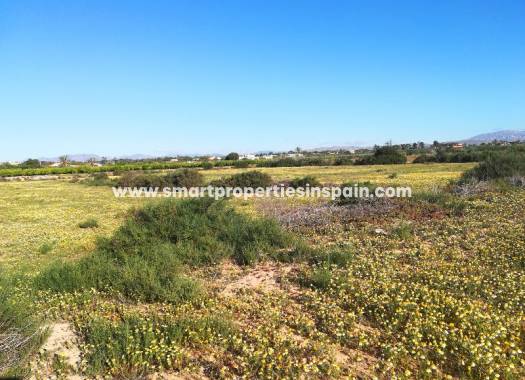 Wederverkoop - Plot - Elche - Valverde
