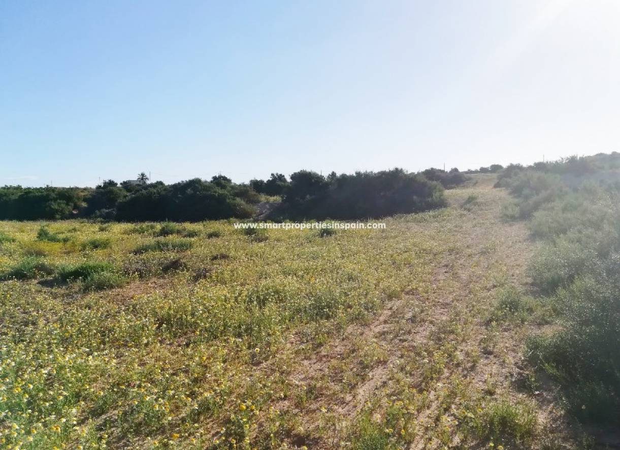 Wederverkoop - Plot - Elche - Valverde